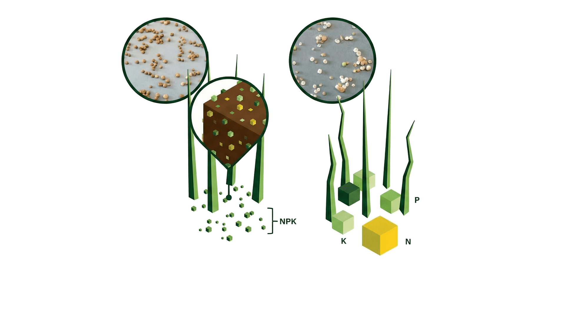 Carbon90Plus and traditional fertilizer comparison